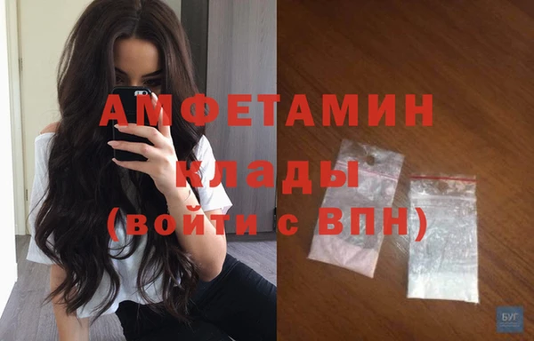 стафф Дмитриев