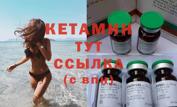 стафф Дмитриев