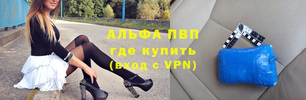 стафф Дмитриев