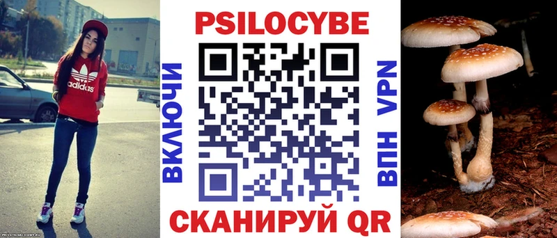 Галлюциногенные грибы Cubensis Кириллов